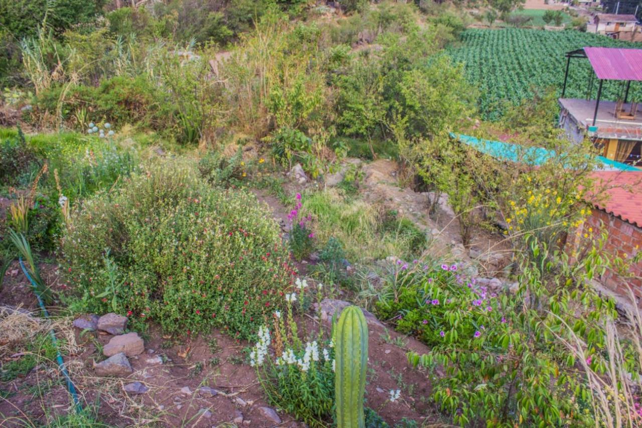 Secret Valley House Cusco Lodge Ollantaytambo