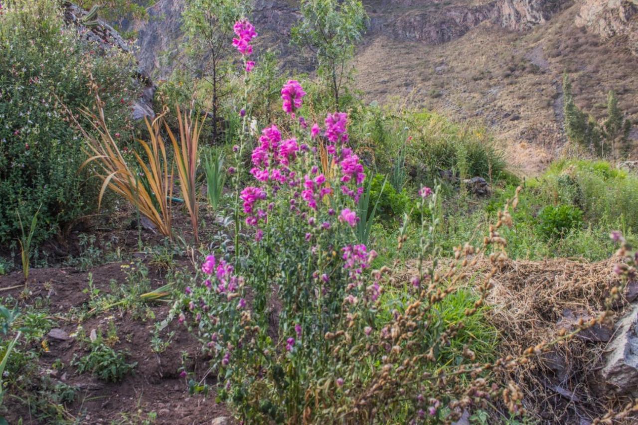 Lodge Secret Valley House Cusco